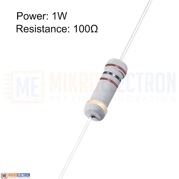 100 Ohm Resistor 1W |